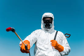 Best Termite Inspection and Treatment  in Overlea, MD